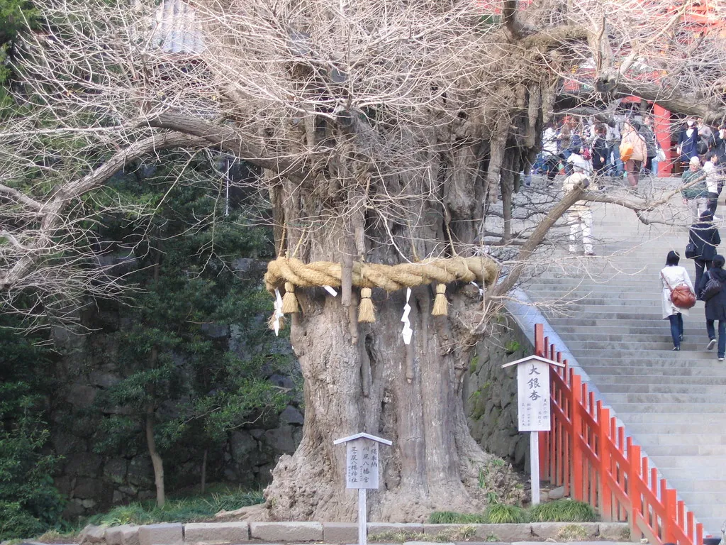 鹤冈八幡宫 参考图 1